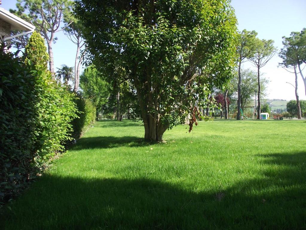 Monte Porzio Hotel Ausonia מראה חיצוני תמונה